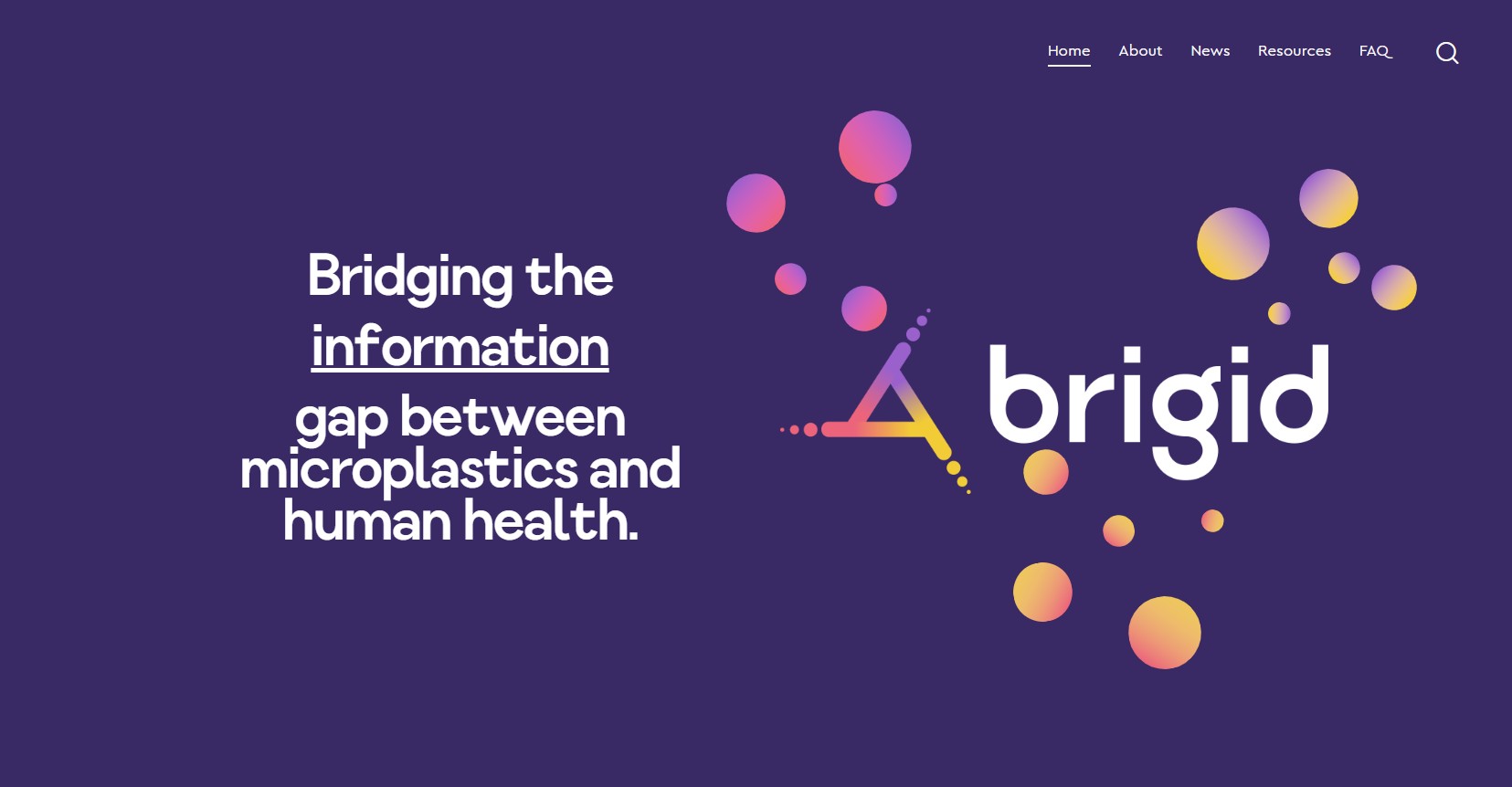 Brigid homepage above the fold screenshot