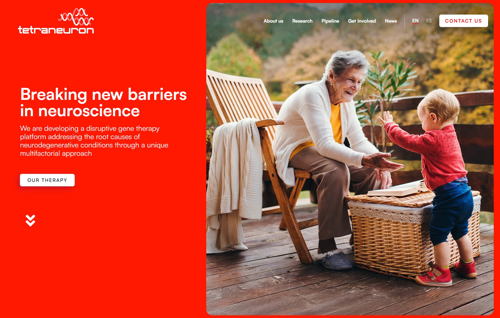 Tetraneuron - homepage above the fold